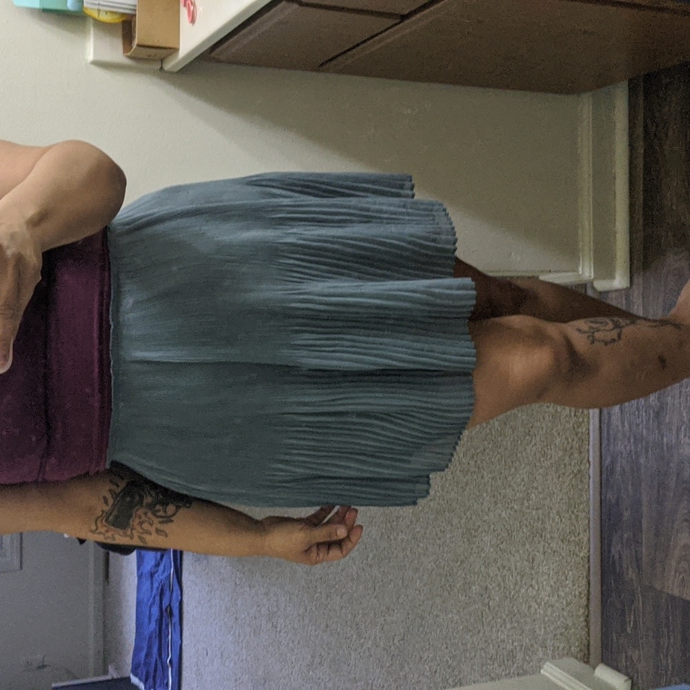 H&M Tulip Pleated Skirt